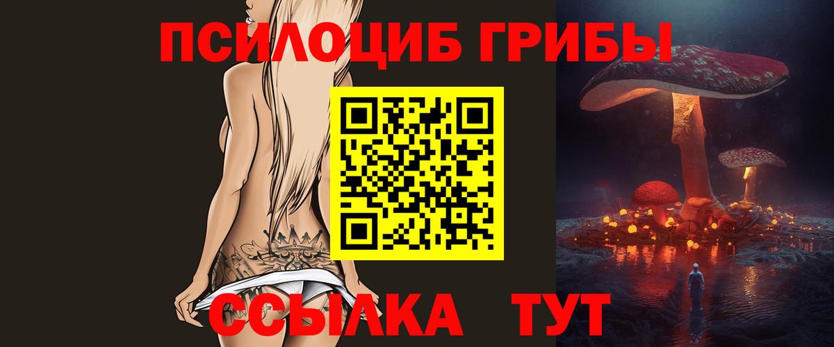 Псилоцибиновые грибы прущие грибы Бийск
