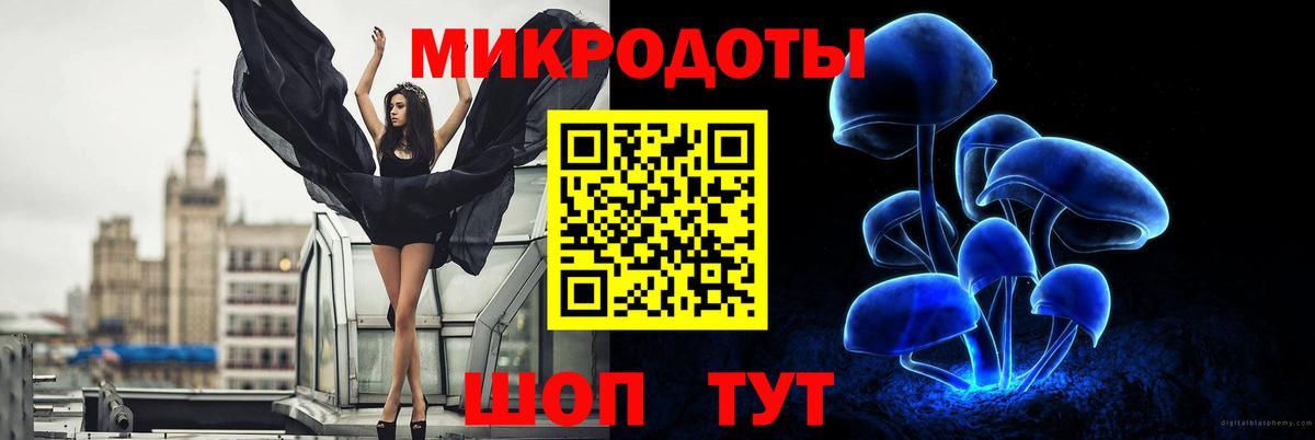Бийск  Галлюциногенные грибы GOLDEN TEACHER  Вход с VPN 